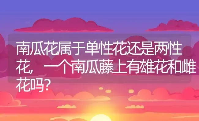 南瓜花属于单性花还是两性花,一个南瓜藤上有雄花和雌花吗？ | 养殖科普