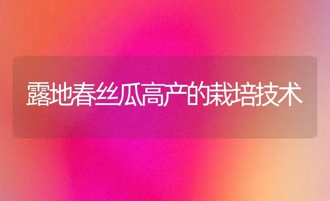 露地春丝瓜高产的栽培技术 | 养殖知识
