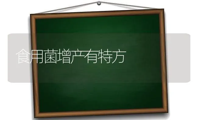 食用菌增产有特方 | 养殖技术大全