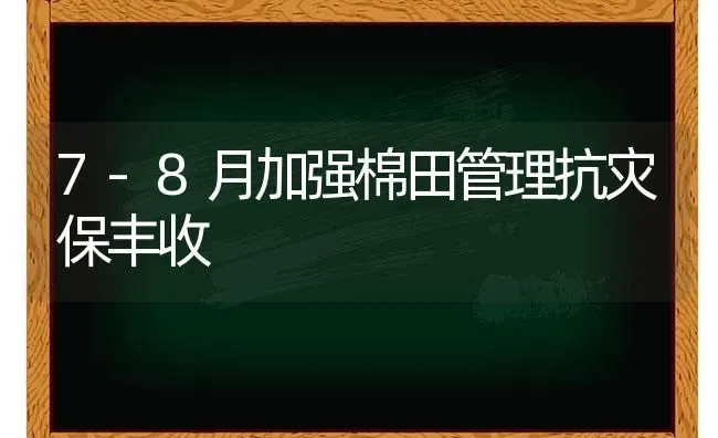 7-8月加强棉田管理抗灾保丰收 | 养殖知识