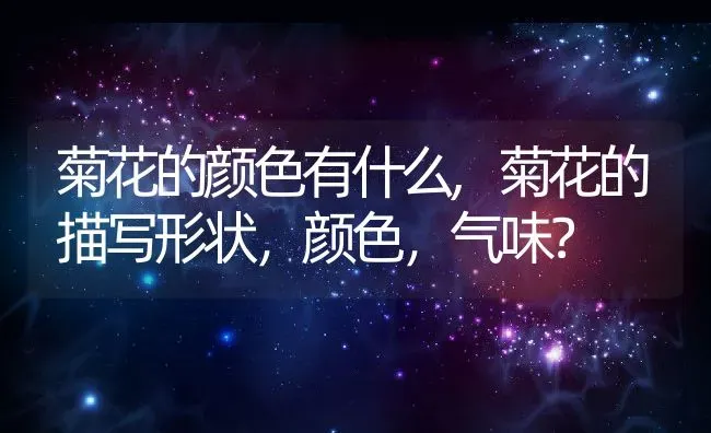 菊花的颜色有什么,菊花的描写形状，颜色，气味？ | 养殖科普