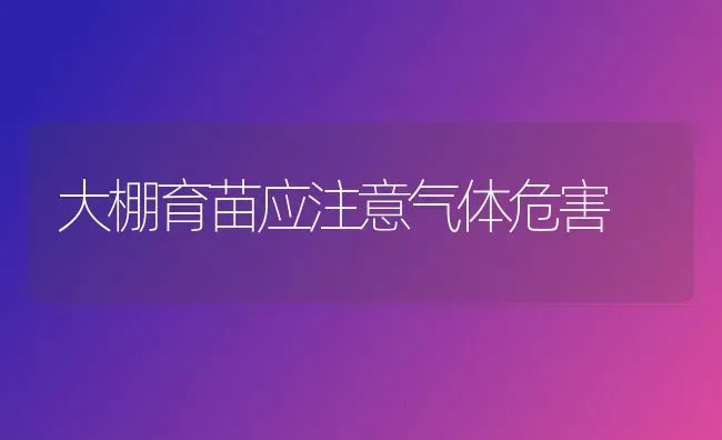 大棚育苗应注意气体危害 | 养殖知识