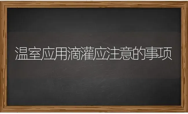 温室应用滴灌应注意的事项 | 养殖知识