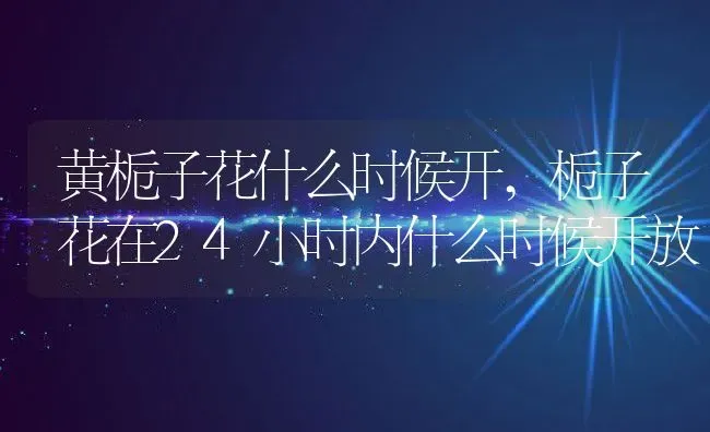 黄栀子花什么时候开,栀子花在24小时内什么时候开放 | 养殖学堂