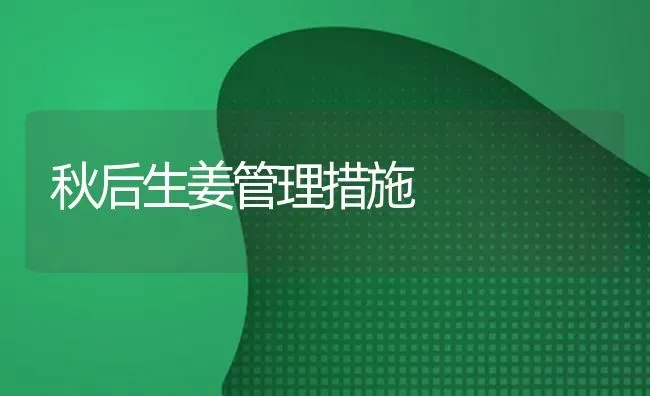 秋后生姜管理措施 | 养殖知识