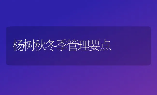 杨树秋冬季管理要点 | 养殖知识