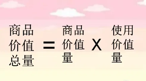 使用价值量是什么意思,资本论十句名句？