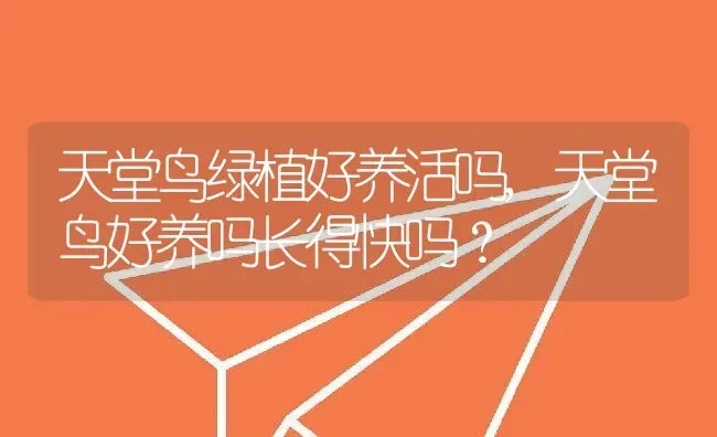 天堂鸟绿植好养活吗,天堂鸟好养吗长得快吗？ | 养殖科普
