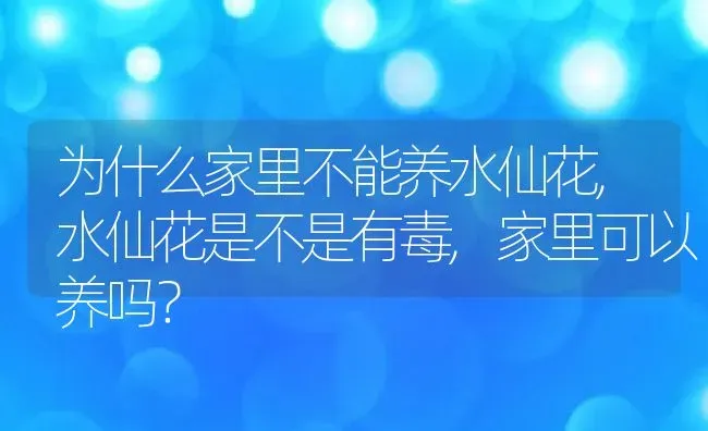 为什么家里不能养水仙花,水仙花是不是有毒,家里可以养吗？ | 养殖学堂