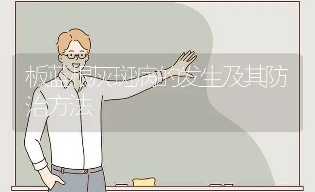 板蓝根灰斑病的发生及其防治方法 | 养殖知识