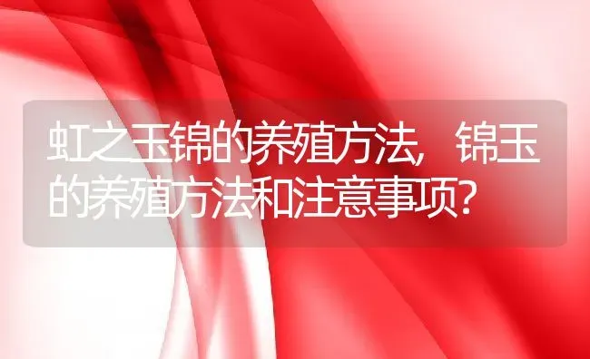 虹之玉锦的养殖方法,锦玉的养殖方法和注意事项？ | 养殖科普