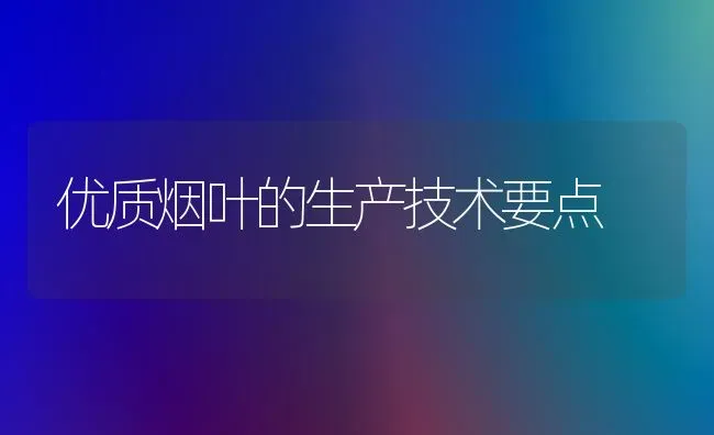 优质烟叶的生产技术要点 | 养殖技术大全