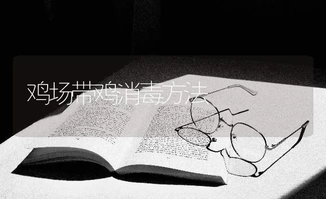 让母牛多生仔 繁殖方面有诀窍 | 养殖技术大全