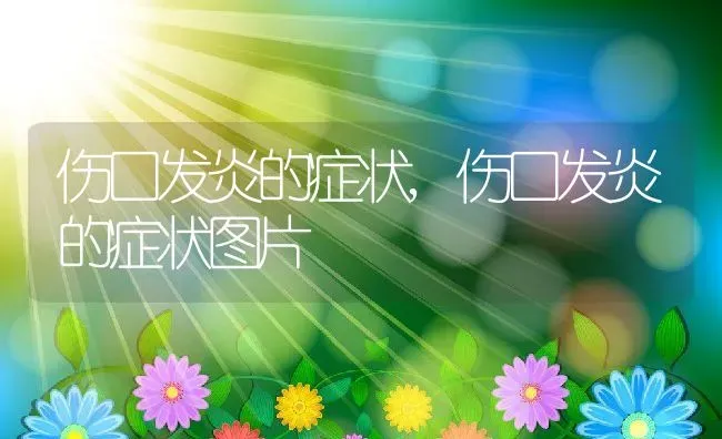 伤口发炎的症状,伤口发炎的症状图片 | 养殖科普
