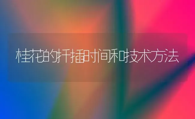 桂花的扦插时间和技术方法 | 养殖知识