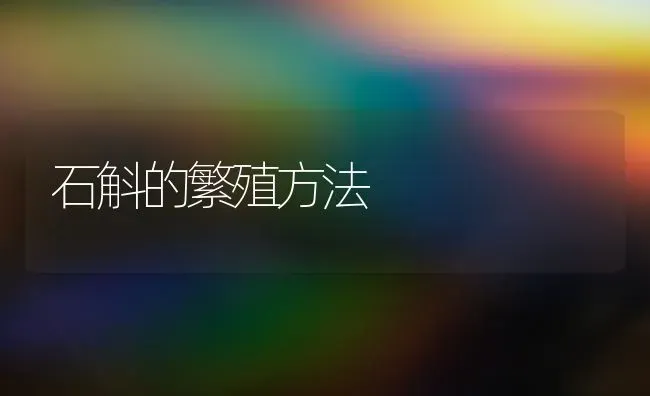 石斛的繁殖方法 | 养殖技术大全