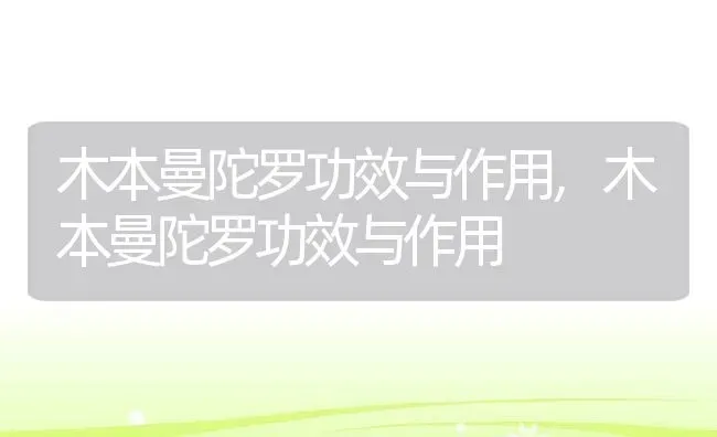木本曼陀罗功效与作用,木本曼陀罗功效与作用 | 养殖科普
