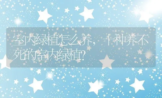 室内绿植怎么养,十种养不死的室内绿植？ | 养殖科普