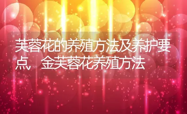 芙蓉花的养殖方法及养护要点,金芙蓉花养殖方法 | 养殖学堂