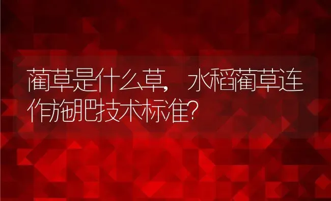 蔺草是什么草,水稻蔺草连作施肥技术标准？ | 养殖科普