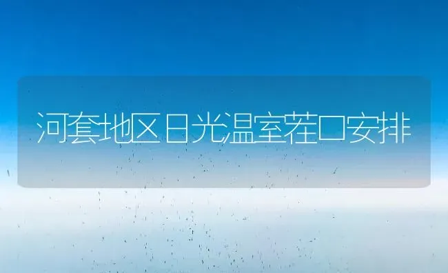 河套地区日光温室茬口安排 | 养殖技术大全