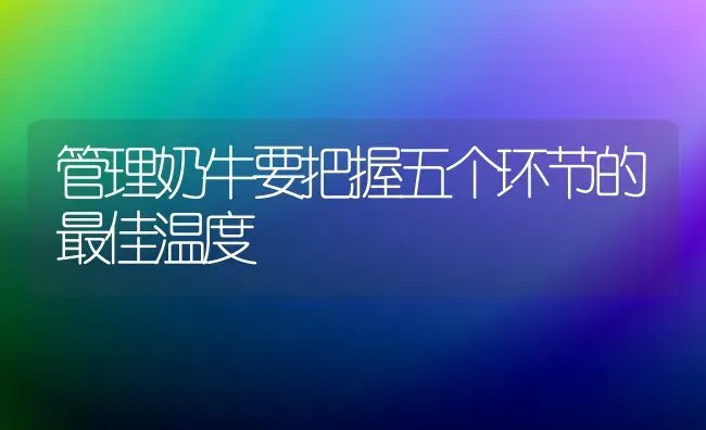 管理奶牛要把握五个环节的最佳温度 | 养殖技术大全