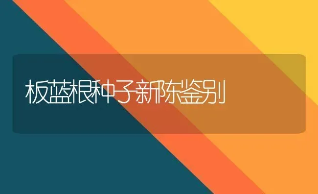 板蓝根种子新陈鉴别 | 养殖知识
