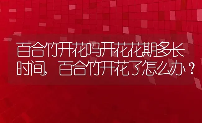 百合竹开花吗开花花期多长时间,百合竹开花了怎么办？ | 养殖科普