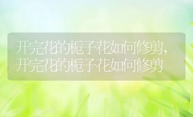 开完花的栀子花如何修剪,开完花的栀子花如何修剪 | 养殖科普