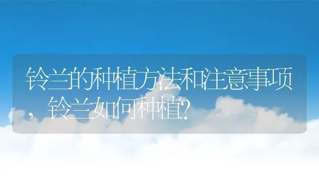 铃兰的种植方法和注意事项,铃兰如何种植？ | 养殖科普