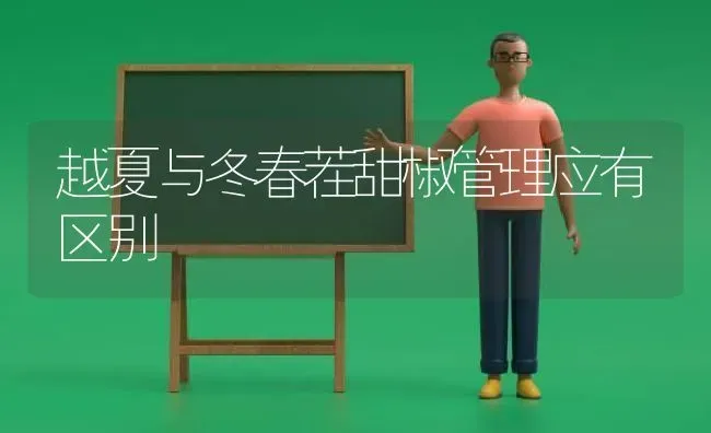 越夏与冬春茬甜椒管理应有区别 | 养殖知识