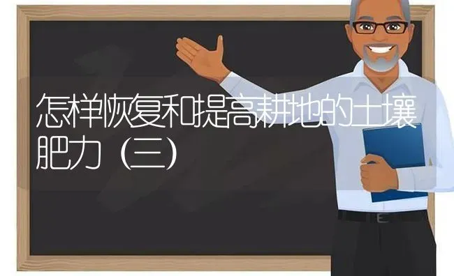 怎样恢复和提高耕地的土壤肥力(三) | 养殖技术大全
