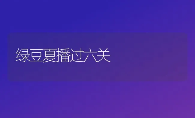 绿豆夏播过六关 | 养殖知识