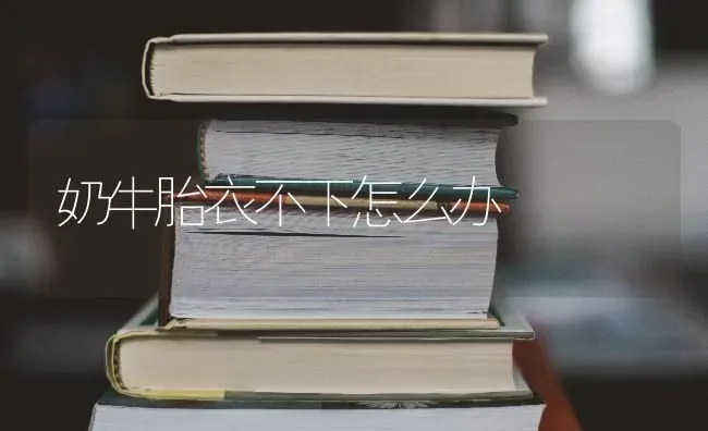 奶牛胎衣不下怎么办 | 养殖技术大全