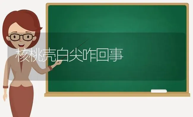 核桃壳白尖咋回事 | 养殖知识