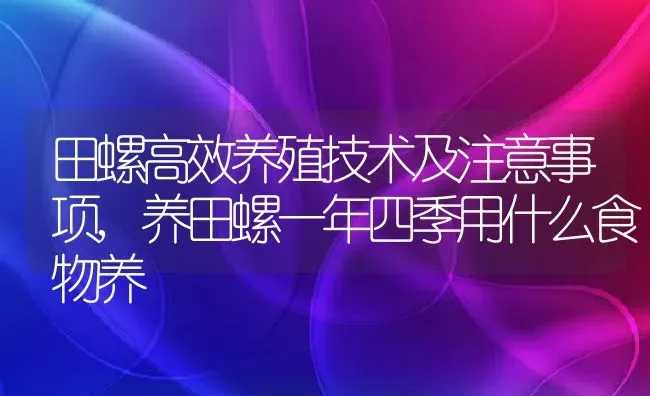 田螺高效养殖技术及注意事项,养田螺一年四季用什么食物养 | 养殖学堂