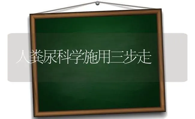 人粪尿科学施用三步走 | 养殖知识