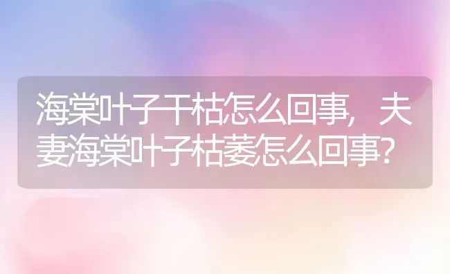 海棠叶子干枯怎么回事,夫妻海棠叶子枯萎怎么回事？ | 养殖科普