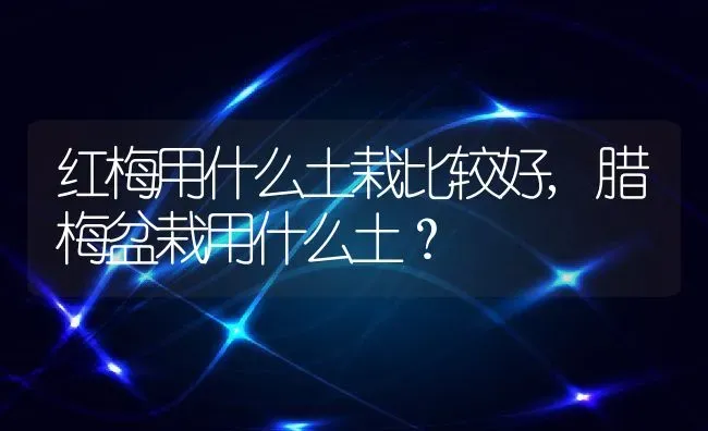 红梅用什么土栽比较好,腊梅盆栽用什么土？ | 养殖学堂