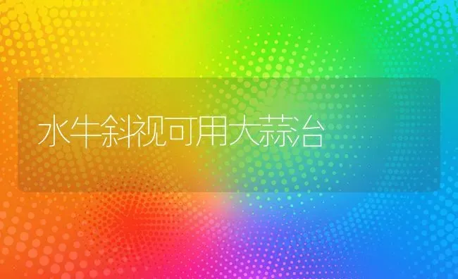 水牛斜视可用大蒜治 | 养殖知识