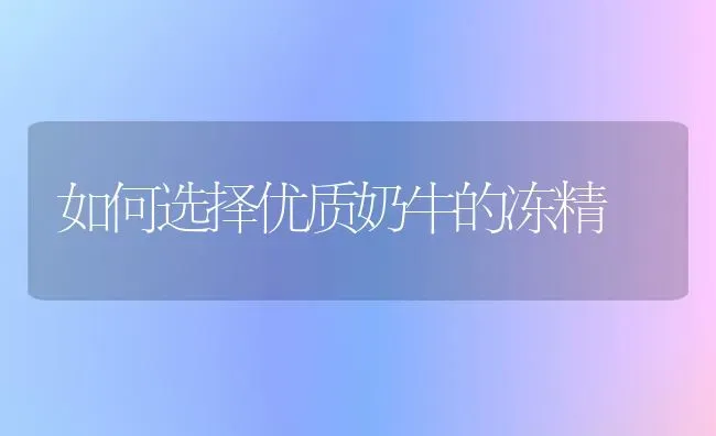 如何选择优质奶牛的冻精 | 养殖知识