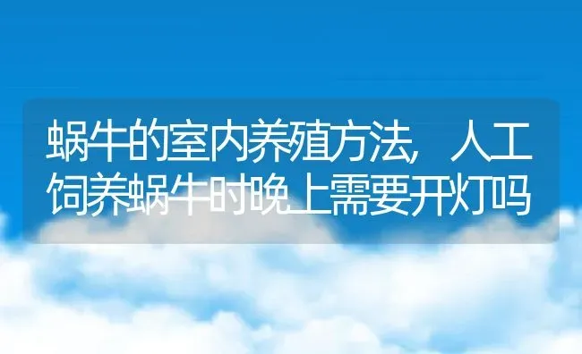 蜗牛的室内养殖方法,人工饲养蜗牛时晚上需要开灯吗 | 养殖学堂