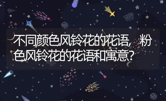 不同颜色风铃花的花语,粉色风铃花的花语和寓意？ | 养殖科普