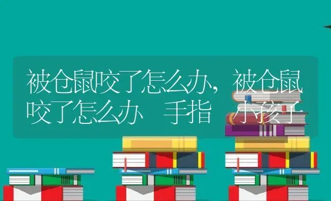 被仓鼠咬了怎么办,被仓鼠咬了怎么办 手指 小孩子 | 养殖科普