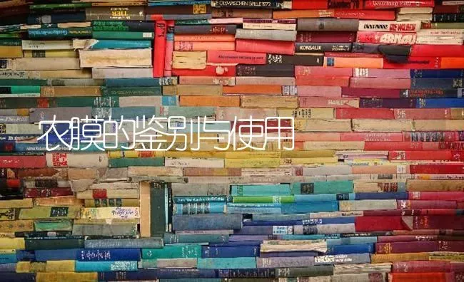 农膜的鉴别与使用 | 养殖技术大全