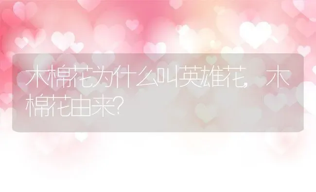 木棉花为什么叫英雄花,木棉花由来？ | 养殖科普