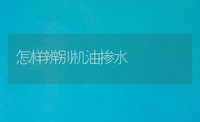 怎样辨别机油掺水 | 养殖知识