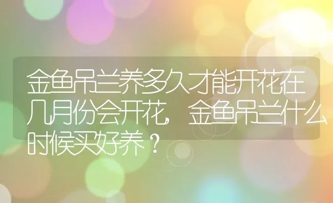 金鱼吊兰养多久才能开花在几月份会开花,金鱼吊兰什么时候买好养？ | 养殖科普