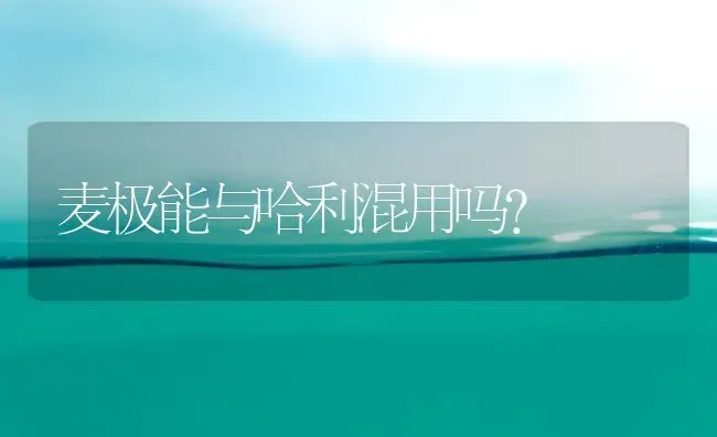 麦极能与哈利混用吗? | 养殖知识