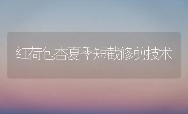 红荷包杏夏季短截修剪技术 | 养殖技术大全